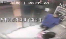陈翔爆料视频大全集,揭秘娱乐圈幕后真相