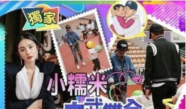 杨幂家人爆料视频大全,揭秘明星家庭背后的故事