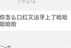 谢娜微信内容爆料最新版,最新版剧情大揭秘！