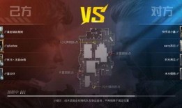 和平精英爆料视频全集,揭秘游戏新内容与精彩瞬间