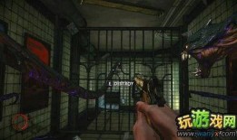 暗黑爆料免费观看视频外国版下载,免费观看视频外国版下载攻略全解析