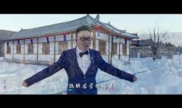 妙手明珠在线观看,揭秘中医传承的传奇故事