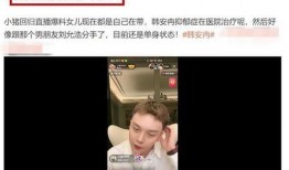 韩安冉前夫小猪爆料视频,揭秘婚姻内幕与情感纠葛