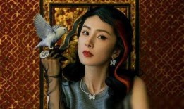 娱乐大爆料杨幂王鹤棣