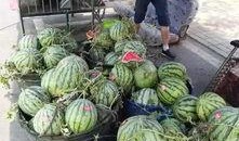 淄博吃瓜爆料事件最新,揭秘背后真相，网络舆论漩涡中的城市风云