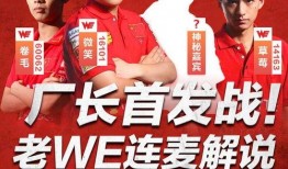 陈厂长合伙人爆料视频,揭秘企业内幕与真实故事